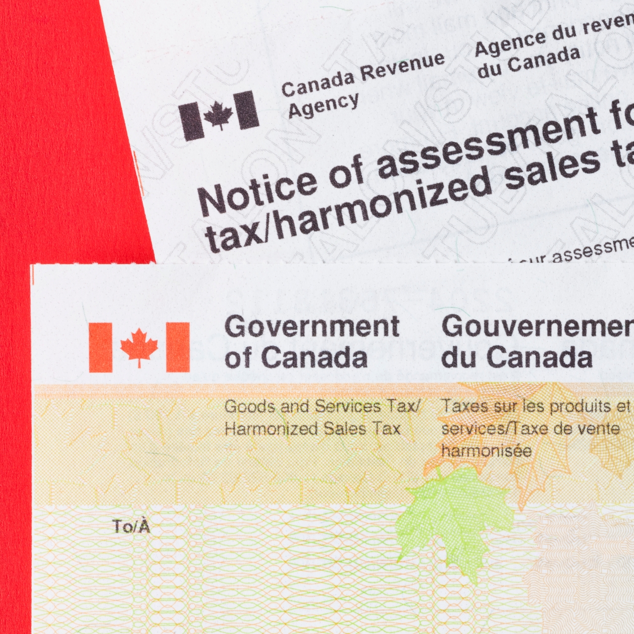 Filing documents for cross-border taxation in United States and Canada